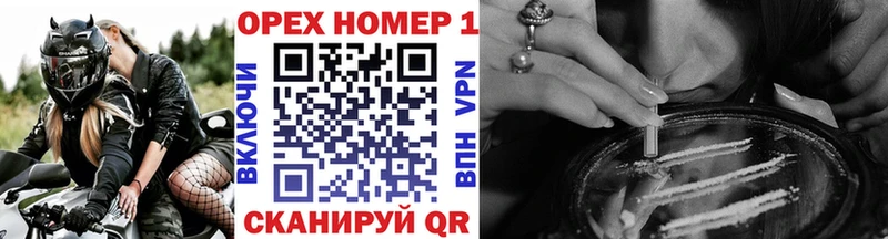 COCAIN FishScale  Купить закладки  Судогда 