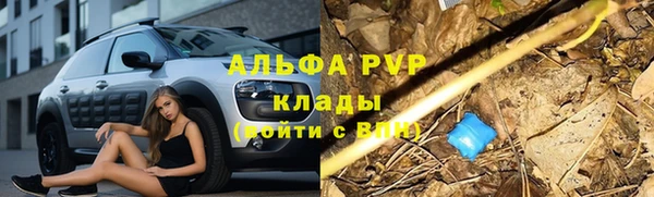 каннабис Гусиноозёрск