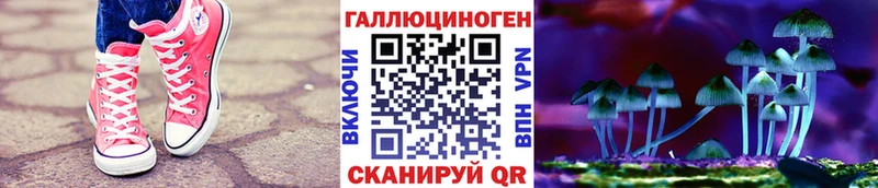 Купить  Судогда  Псилоцибиновые грибы Psilocybine cubensis 