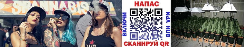 Марихуана индика  Купить закладки  Судогда 